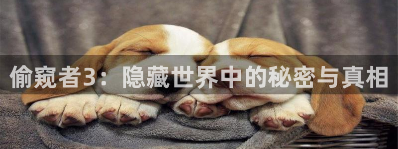 免费冬天之后的樱花漫画：偷窥者3：隐藏世界中的秘密与真相